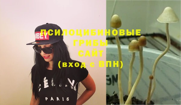 эйфоретик Богданович
