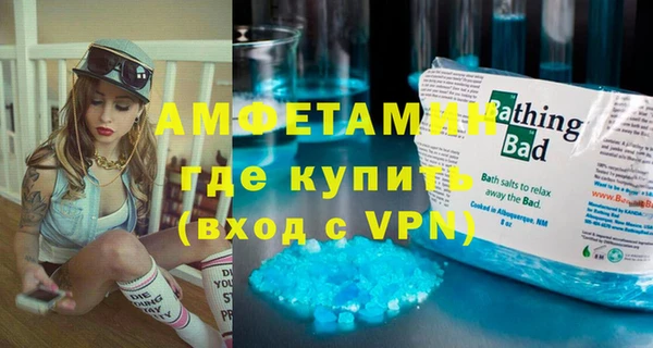 сатива Галич
