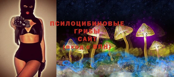 винт Бородино