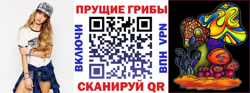 закладки  blacksprut онион  даркнет наркотические препараты  Мамадыш  Галлюциногенные грибы Magic Shrooms 